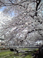 20100405082406