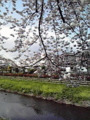 20100405082407