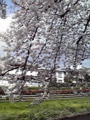 20100405082408