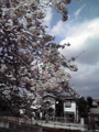 20100405082409