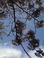20100405082410