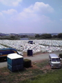 20100728123225