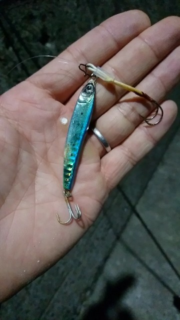 f:id:k_u_r_a_g_e_n:20170608100402j:image f:id:k_u_r_a_g_e_n:20170608100402j:image