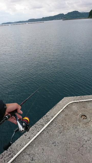 f:id:k_u_r_a_g_e_n:20170608100538j:image f:id:k_u_r_a_g_e_n:20170608100538j:image