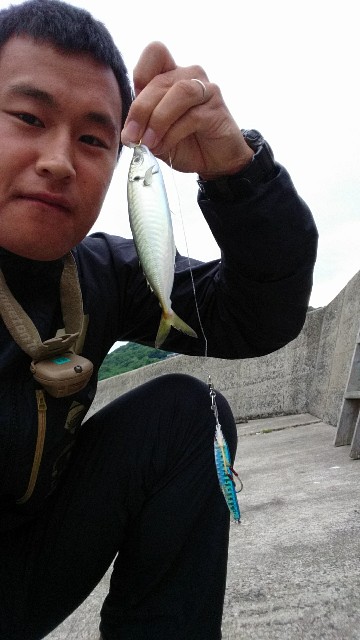 f:id:k_u_r_a_g_e_n:20170608100758j:image f:id:k_u_r_a_g_e_n:20170608100758j:image