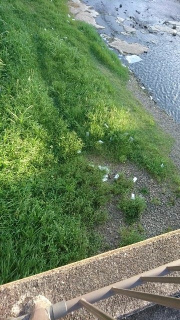 f:id:k_u_r_a_g_e_n:20170902101952j:image f:id:k_u_r_a_g_e_n:20170902101952j:image