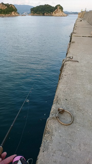 f:id:k_u_r_a_g_e_n:20170906192500j:image f:id:k_u_r_a_g_e_n:20170906192500j:image