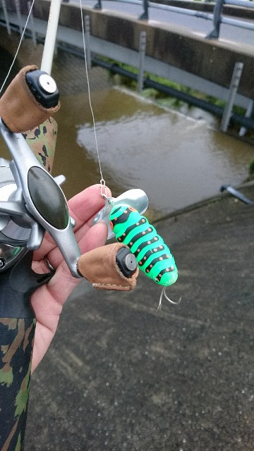 f:id:k_u_r_a_g_e_n:20170907195548j:image f:id:k_u_r_a_g_e_n:20170907195548j:image