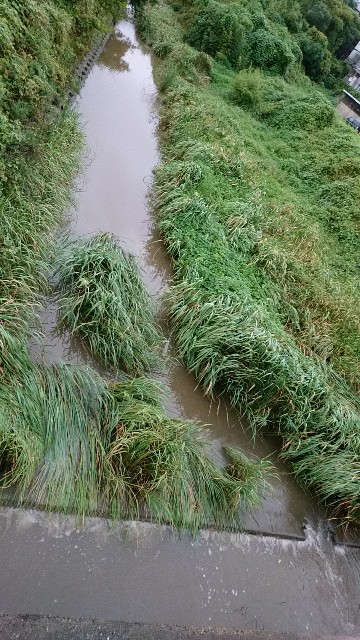 f:id:k_u_r_a_g_e_n:20170907195751j:image f:id:k_u_r_a_g_e_n:20170907195751j:image