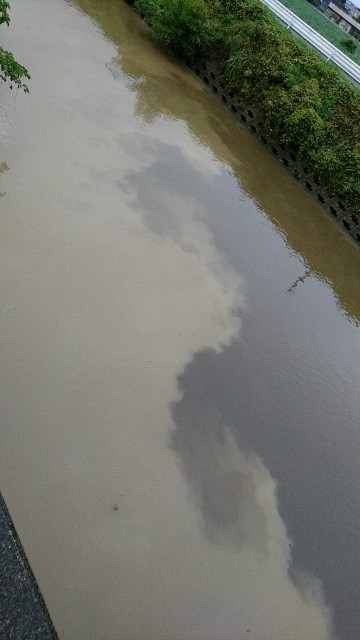 f:id:k_u_r_a_g_e_n:20170907195758j:image f:id:k_u_r_a_g_e_n:20170907195758j:image