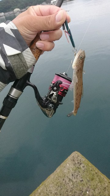 f:id:k_u_r_a_g_e_n:20170916163308j:image f:id:k_u_r_a_g_e_n:20170916163308j:image