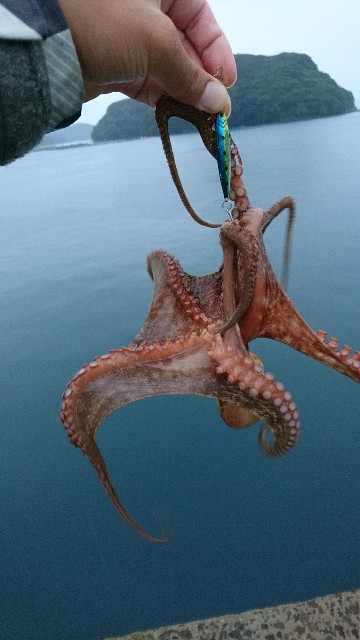 f:id:k_u_r_a_g_e_n:20170916163720j:image f:id:k_u_r_a_g_e_n:20170916163720j:image