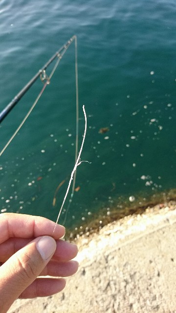 f:id:k_u_r_a_g_e_n:20170918224733j:image