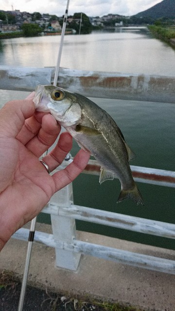 f:id:k_u_r_a_g_e_n:20170919085006j:image