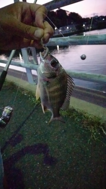 f:id:k_u_r_a_g_e_n:20170919085234j:image