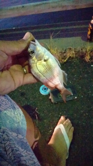 f:id:k_u_r_a_g_e_n:20170919085320j:image