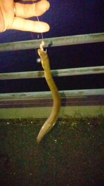 f:id:k_u_r_a_g_e_n:20170919085458j:image