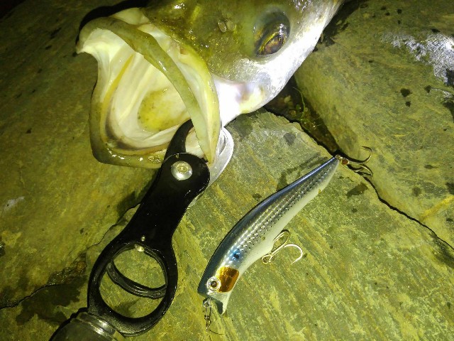 f:id:k_u_r_a_g_e_n:20170919094130j:image