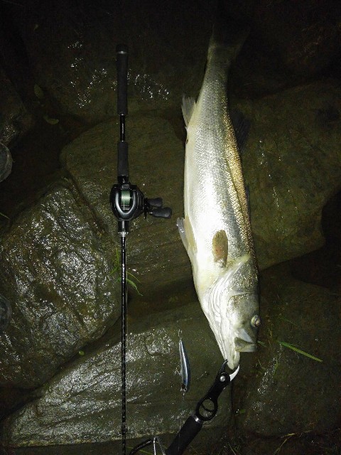 f:id:k_u_r_a_g_e_n:20170919094144j:image