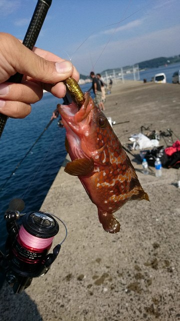 f:id:k_u_r_a_g_e_n:20170925123733j:image f:id:k_u_r_a_g_e_n:20170925123733j:image