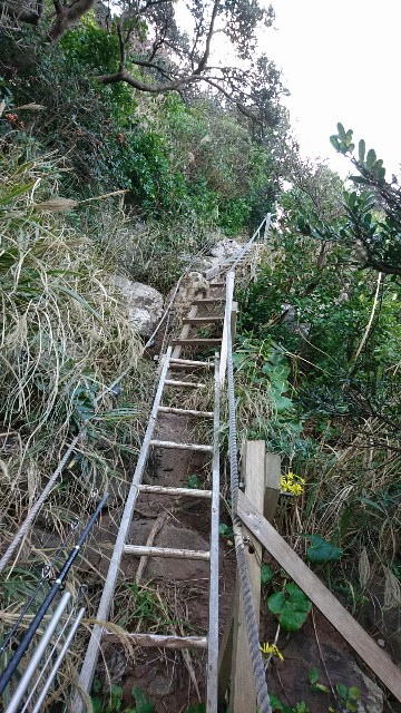 f:id:k_u_r_a_g_e_n:20171106094154j:image f:id:k_u_r_a_g_e_n:20171106094154j:image