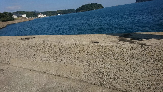 f:id:k_u_r_a_g_e_n:20171106094500j:image f:id:k_u_r_a_g_e_n:20171106094500j:image