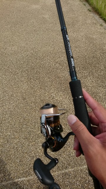 小佐々エギング 夏パターン 佐世保バカ釣りブログ