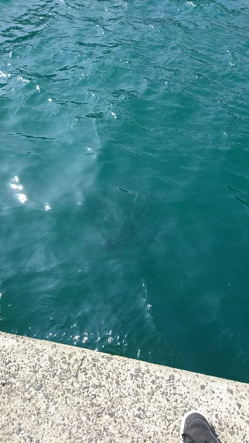 f:id:k_u_r_a_g_e_n:20180609210148j:image