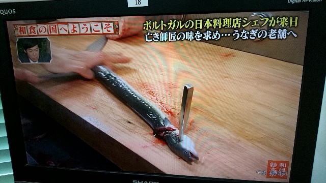 f:id:k_u_r_a_g_e_n:20180721164703j:image