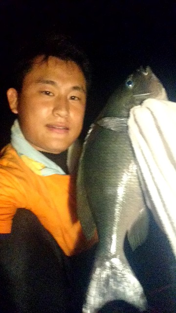 f:id:k_u_r_a_g_e_n:20180724150817j:image f:id:k_u_r_a_g_e_n:20180724150817j:image