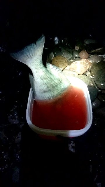 f:id:k_u_r_a_g_e_n:20180724151147j:image f:id:k_u_r_a_g_e_n:20180724151147j:image