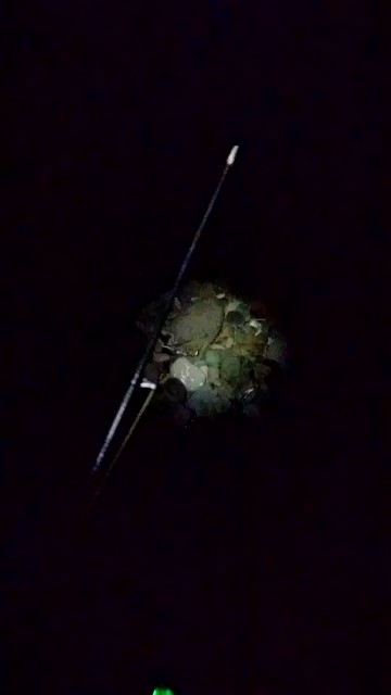 f:id:k_u_r_a_g_e_n:20180724153159j:image f:id:k_u_r_a_g_e_n:20180724153159j:image