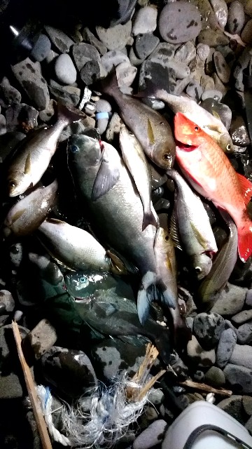 f:id:k_u_r_a_g_e_n:20180724162627j:image f:id:k_u_r_a_g_e_n:20180724162627j:image