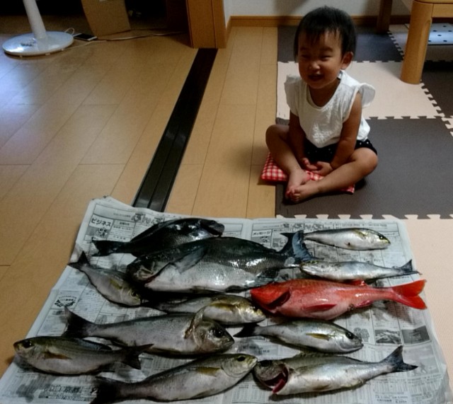 f:id:k_u_r_a_g_e_n:20180724162701j:image f:id:k_u_r_a_g_e_n:20180724162701j:image