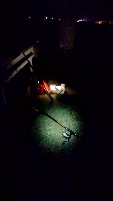 f:id:k_u_r_a_g_e_n:20180803011849j:image