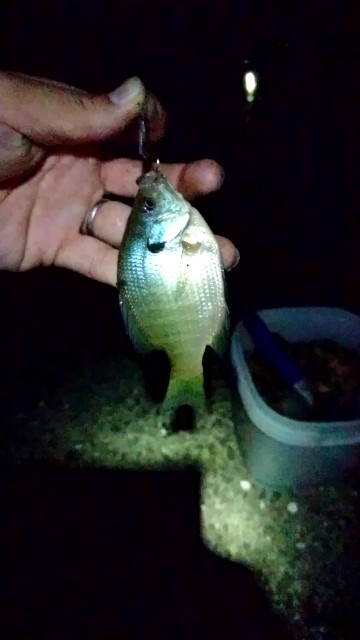 f:id:k_u_r_a_g_e_n:20180803012123j:image