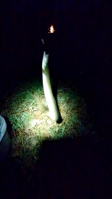 f:id:k_u_r_a_g_e_n:20180803012723j:image