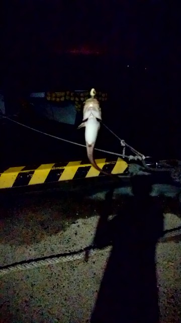 f:id:k_u_r_a_g_e_n:20180901123813j:image f:id:k_u_r_a_g_e_n:20180901123813j:image