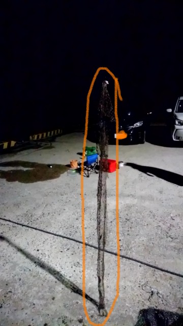 f:id:k_u_r_a_g_e_n:20180901211907j:image f:id:k_u_r_a_g_e_n:20180901211907j:image