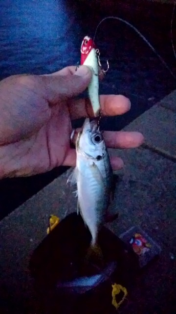 f:id:k_u_r_a_g_e_n:20180902111951j:image