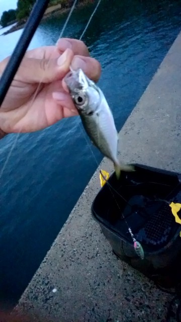 f:id:k_u_r_a_g_e_n:20180902112538j:image