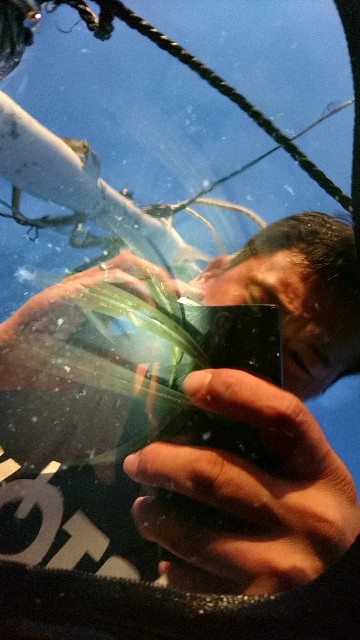 f:id:k_u_r_a_g_e_n:20180902141236j:image