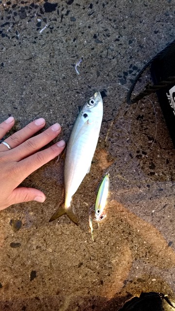 f:id:k_u_r_a_g_e_n:20180902141336j:image