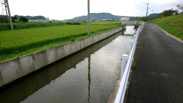 f:id:k_u_r_a_g_e_n:20180908140148j:image