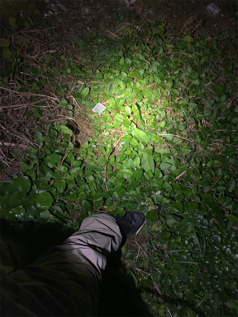 f:id:k_u_r_a_g_e_n:20181209111402j:image