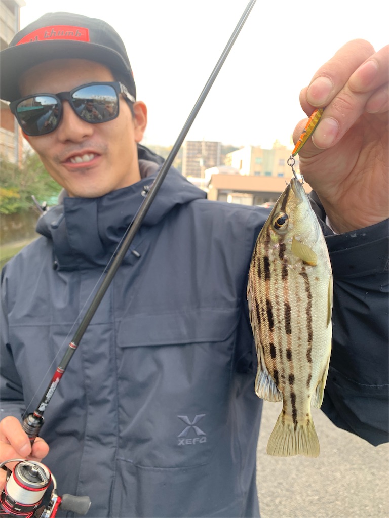 f:id:k_u_r_a_g_e_n:20190115012305j:image