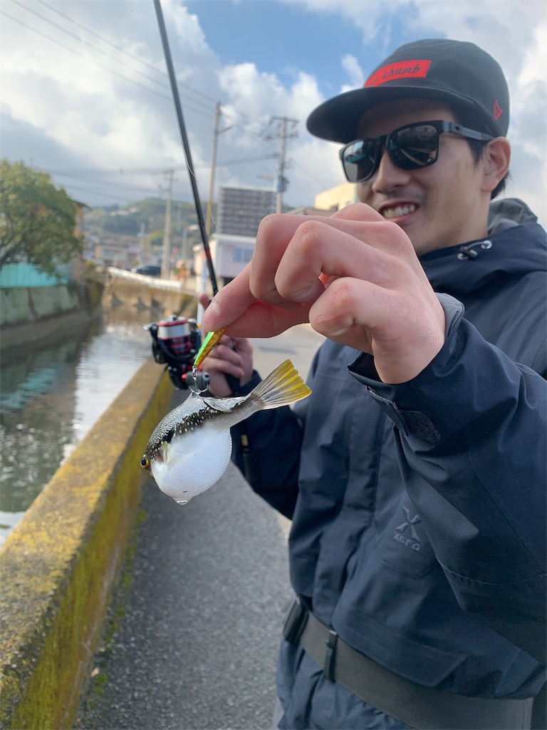 f:id:k_u_r_a_g_e_n:20190115012321j:image
