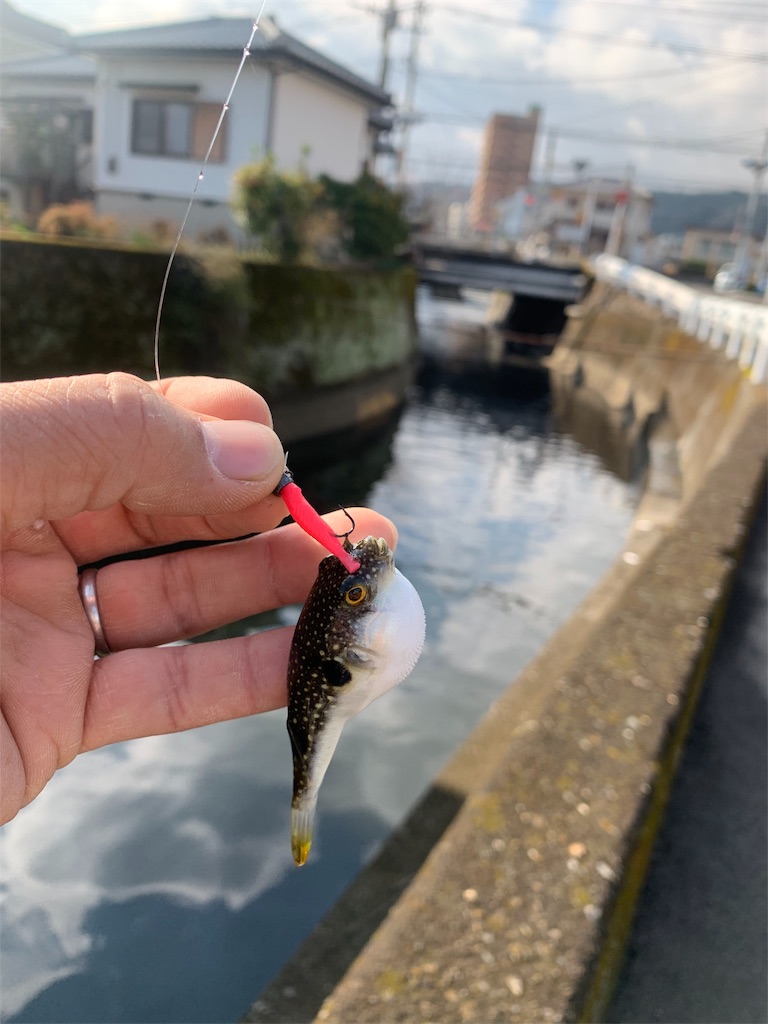 f:id:k_u_r_a_g_e_n:20190115012529j:image