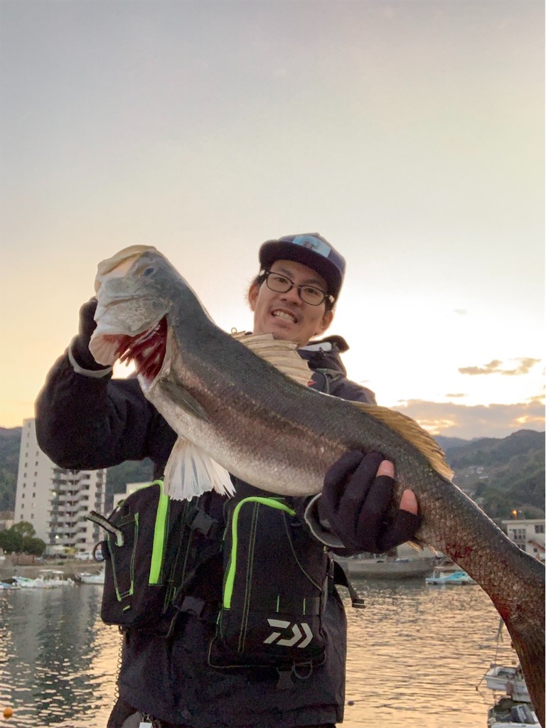 f:id:k_u_r_a_g_e_n:20190115012925j:image