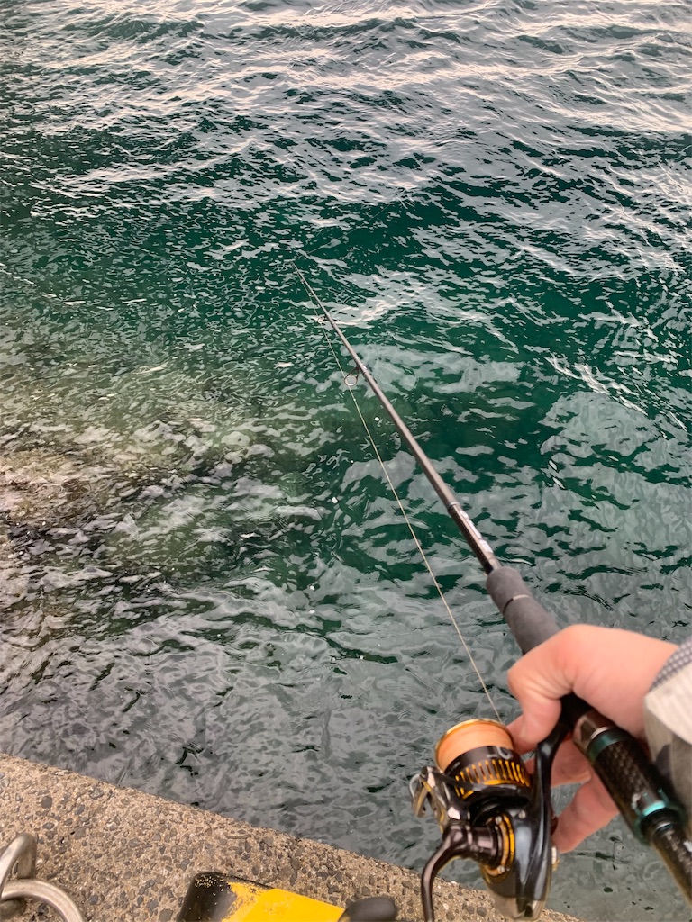 魅惑の呼子ナイトエギング 佐世保バカ釣りブログ 魅惑の呼子ナイトエギング 佐世保バカ釣りブログ